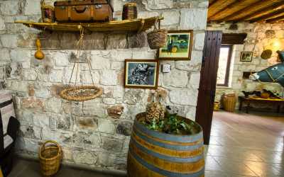 Wycieczka jednodniowa, Wycieczka Szlakiem Cypryjskich Winnic - Sterna Winiarnia