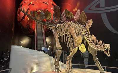 Obóz młodzieżowy, Londyn - obóz turystyczno - językowy - wylot z Poznania, 8 dni 13-19 lat